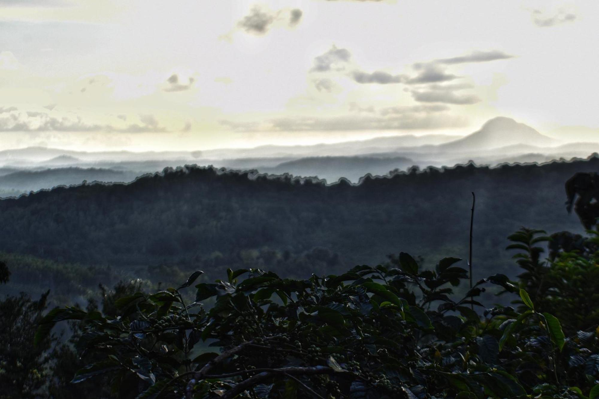 Serene Valley Hilltop * Koppa