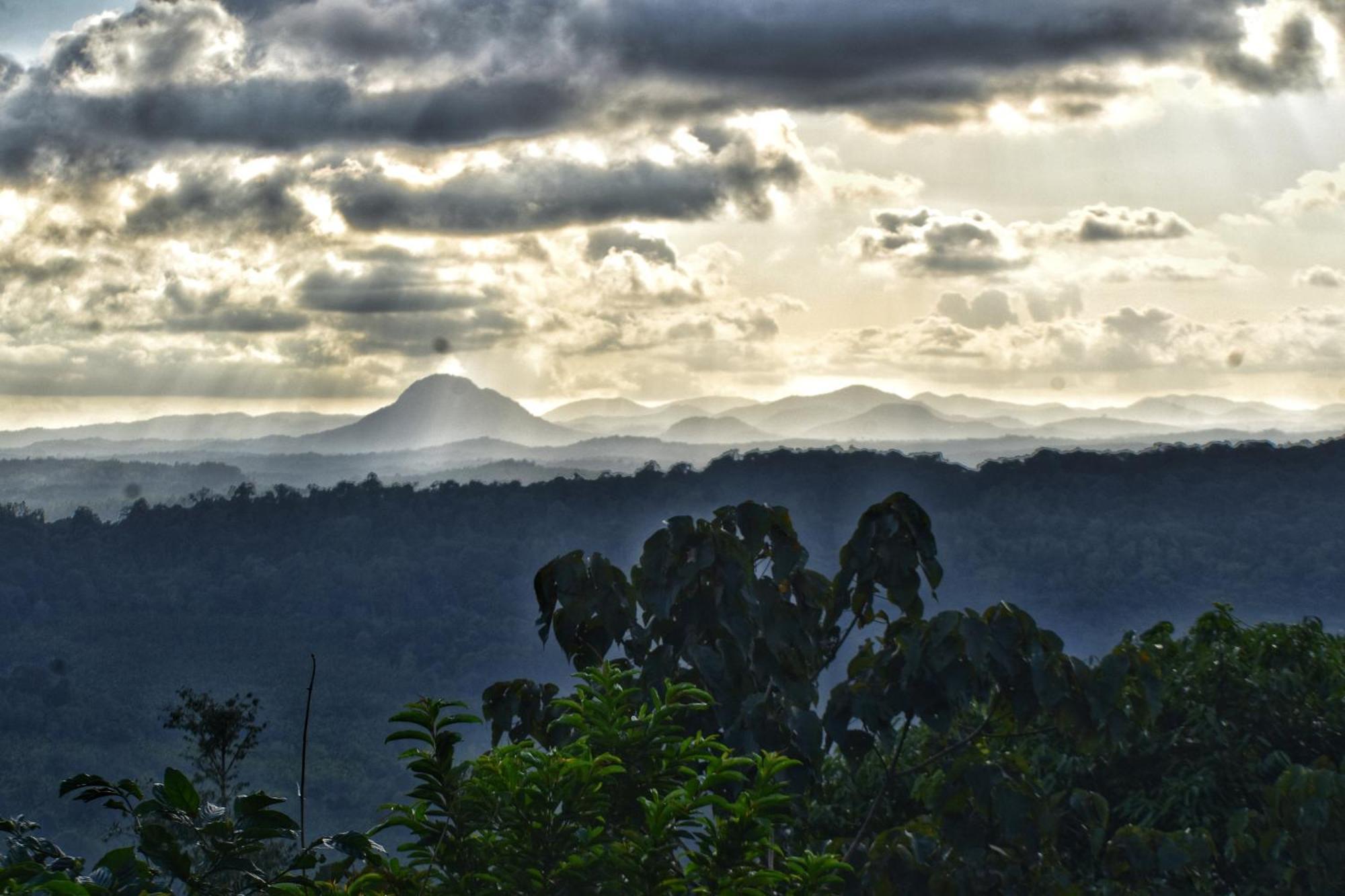 Serene Valley Hilltop Homestay Koppa